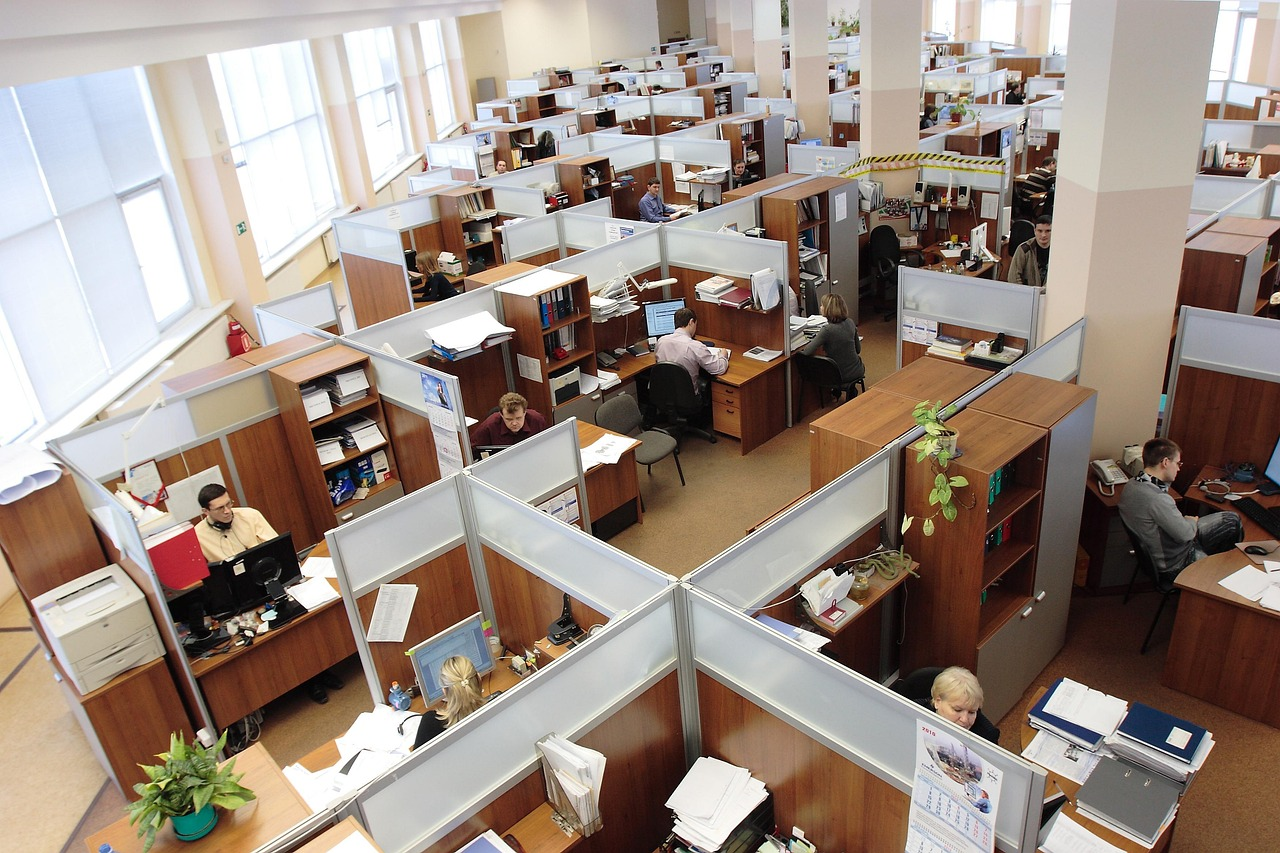 Employees working together in their cubicles