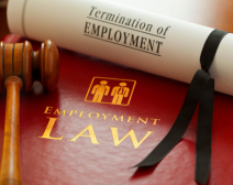 Employment Law 101